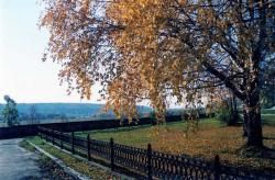 тимофеева т.в. 9